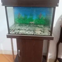 اکواریوم