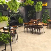 صندوقدار خانم