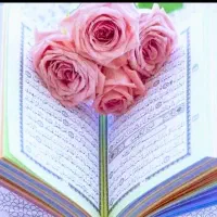 سرکتاب|کتاب و مجله مذهبی|شیراز, وزیرآباد|دیوار