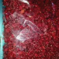 عناب وزرشک|خوردنی و آشامیدنی|نیشابور, شهرک بسیج|دیوار