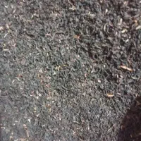 فروش فوق ویژه محصولاتمان