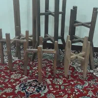 استند گل|گل و گیاه طبیعی|اهواز, فاز ۱ پادادشهر|دیوار