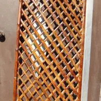 فروش  چوب بامبو|گل و گیاه طبیعی|لاهیجان, گلستان|دیوار