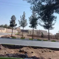 زمین مسکونی شهرک ابن سینا