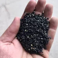 بذرپیاز بلبان اباد