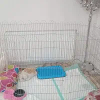 پارک حیوانات