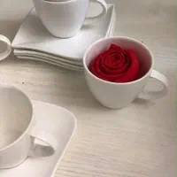 ظروف منزل و پذیرایی|ظروف سرو و پذیرایی|تهران, دهونک|دیوار