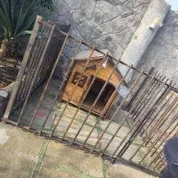 جوشکار سیار|خدمات پیشه و مهارت|رشت, رودبارتان|دیوار