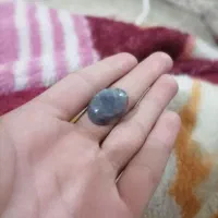 کهنه سنگ شجر بحری|کلکسیون اشیاء عتیقه|اهواز, چنیبه علیا|دیوار