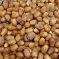 رطب۵۷میخرن۱۰۰میفروشن خیلی فروشش بالاس