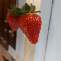 آبرسانی عمیق پوست