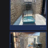 قفس. کاسکویی|لوازم جانبی حیوانات|ارومیه, |دیوار