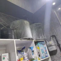 پروانه کولر آبی 7000