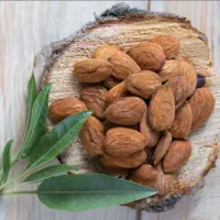 نیازمند سرمایه و شریک جهت تولید