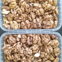 اجاره باغ گردو ... خرید و فروش گردو و گردو سبز.