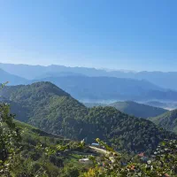 زمین مسکونی داخل بافت