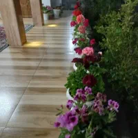 ویلا باغ روستایی|اجارهٔ کوتاهمدت ویلا و باغ|شفت, |دیوار