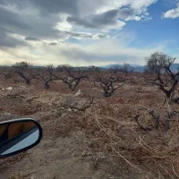زمین-گلخانه-ای-اماده-احداث-در-شهرستان-جعفریه
