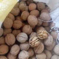 گردوی در حه یک|خوردنی و آشامیدنی|قیدار, |دیوار