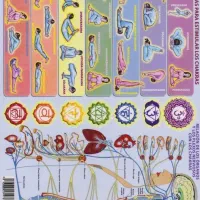 یوگا خصوصی بانوان(اصلاحی ،آیینگر ، فلووینیاسا)