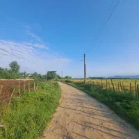 فروش ۲۱۵۰متر زمین مسکونی وباغات سند تگبرگ