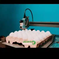 جت پرینتر تخم مرغ تاریخ زن تخم مرغ