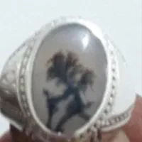 انگشتر شجر