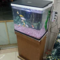 آکواریوم شیشه خم نو