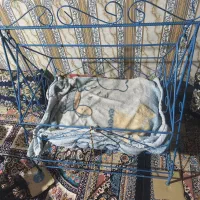گهوراه نوزاد