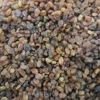 کشمش درجه یک