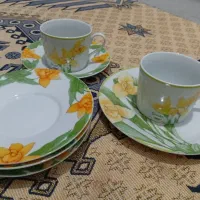 سرویس چینی گل نرگس