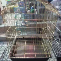 کلکسیون قفس پرنده|لوازم جانبی حیوانات|تربت‌حیدریه, شهید قرنی|دیوار