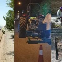 کارگر|فعالیت داوطلبانه|گرگان, |دیوار