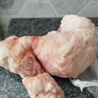 دنبه بره نر