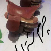 تجهیزات اسب