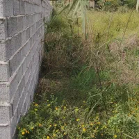 فروش زمین در جاده گهرباران ساری|فروش زمین و ملک کلنگی|طبقده, |دیوار