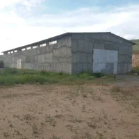 اجاره سوله 800 متری