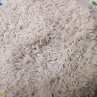 فروش برنج شیرودی