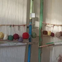 بافنده قالی|استخدام هنری و رسانه|سنندج, |دیوار