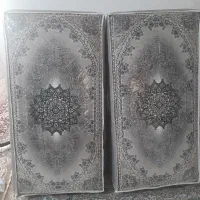 دوجفت پشتی نو