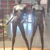 مانکن ، رگال چوبکار|فروشگاه و مغازه|شیراز, شهرک قمشه|دیوار