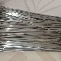 سیخ جیگر استیله