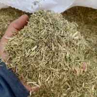 فروش خارشتر درجه یک