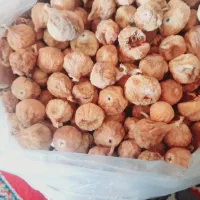 گردو انجیر خرما قصب شیره انگور|خوردنی و آشامیدنی|شیراز, مسلم|دیوار