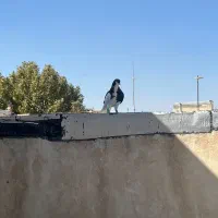 کفتر|پرنده|الوند, |دیوار