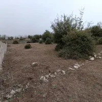 زمین با ویو ابدی در ارتفاعات شهر بهشت-کلاردشت|فروش زمین و ملک کلنگی|کلاردشت, |دیوار