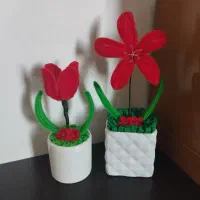 گل جادوان پینترستی