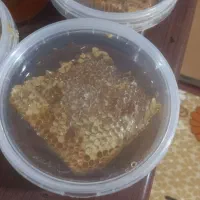 عسل طبیعی|خوردنی و آشامیدنی|تهران, جیحون|دیوار