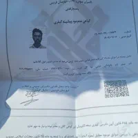 کارگر خدماتی|خدمات نظافت|فردیس, فردیس|دیوار