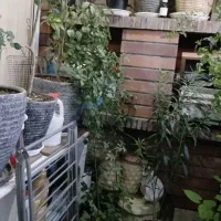 فروش|فروش آپارتمان|تهران, گلاب دره|دیوار